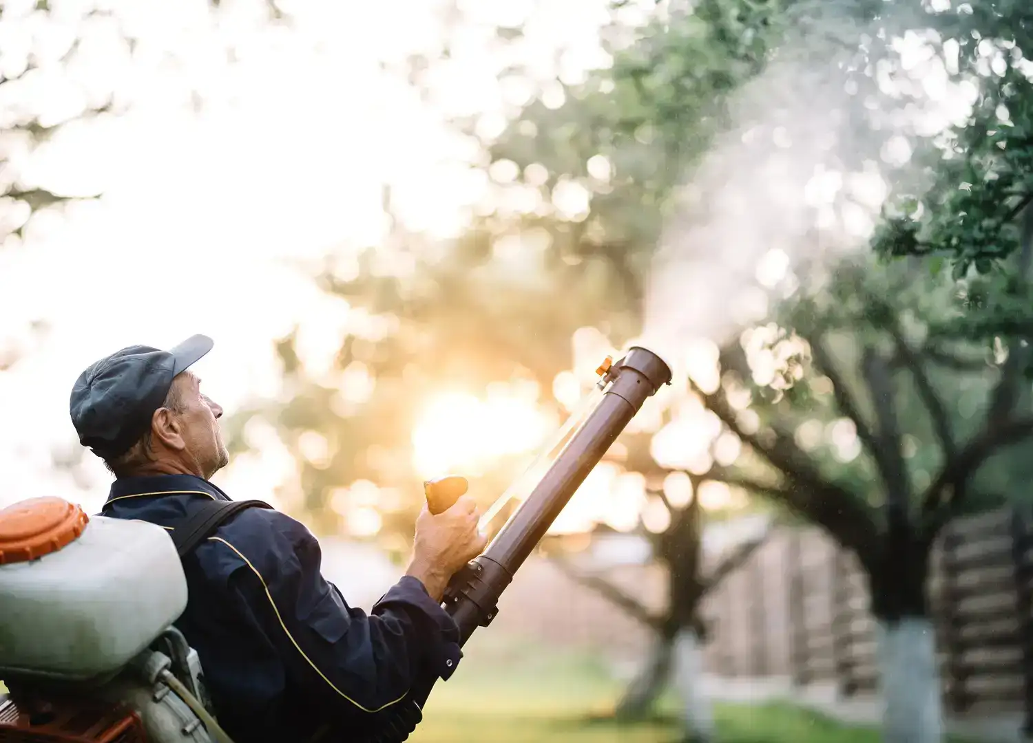 Home Repair & Property Services