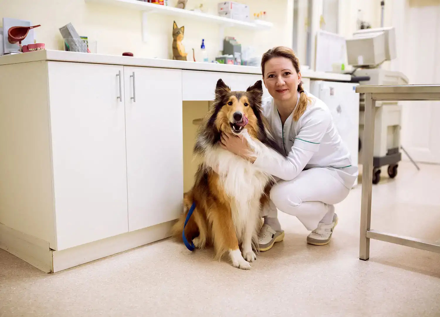 Animal Welfare & Pet Care